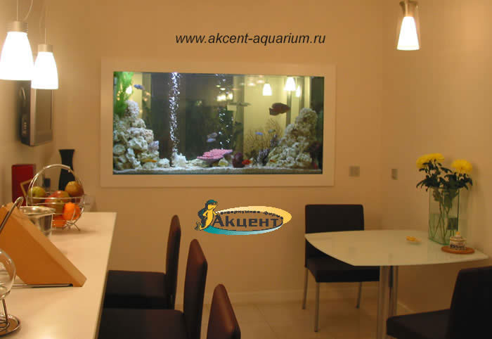 Акцент-аквариум, аквариум просмотровый 1000 литров, вид со стороны кухни